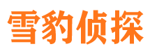 河东区市婚姻出轨调查